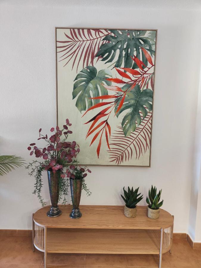 Ohana Tarifa Luaran gambar